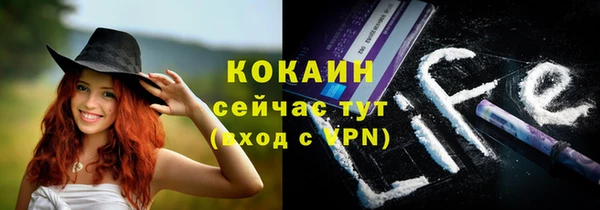 ешки Гусь-Хрустальный