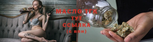 спиды Гусев