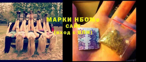 ешки Гусь-Хрустальный