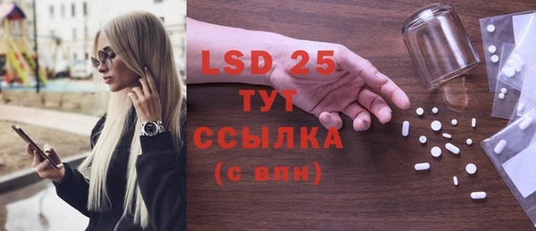 спиды Гусев