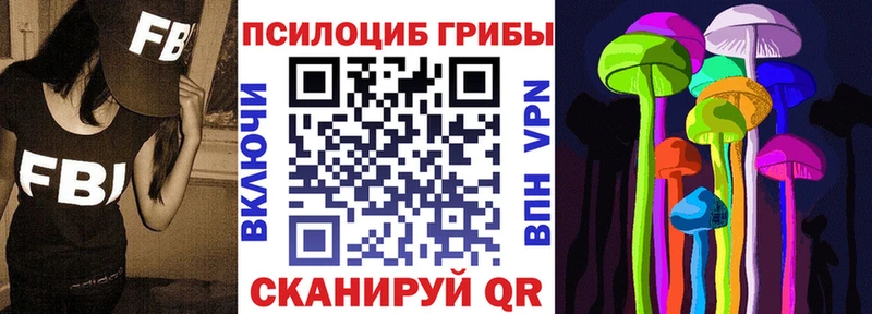Псилоцибиновые грибы Psilocybe  Купить где  Куса 